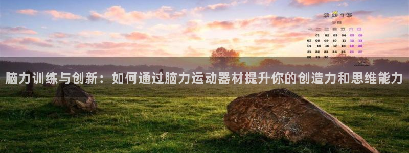 征途国际招商电话号码查询:脑力训练与创新:如何通过脑力运动器