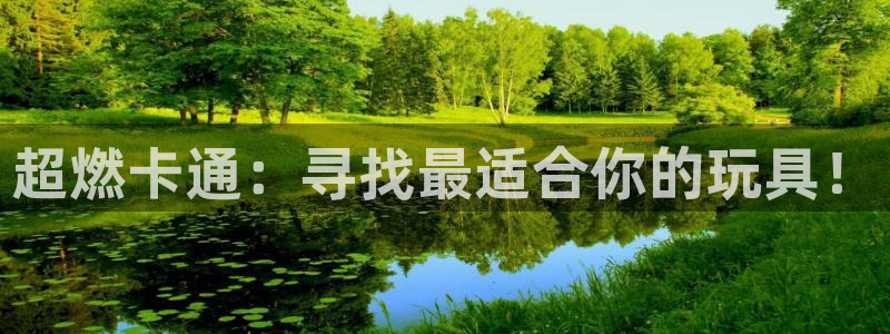 征途国际娱乐代理怎么样:超燃卡通:寻找最适合你的玩具!