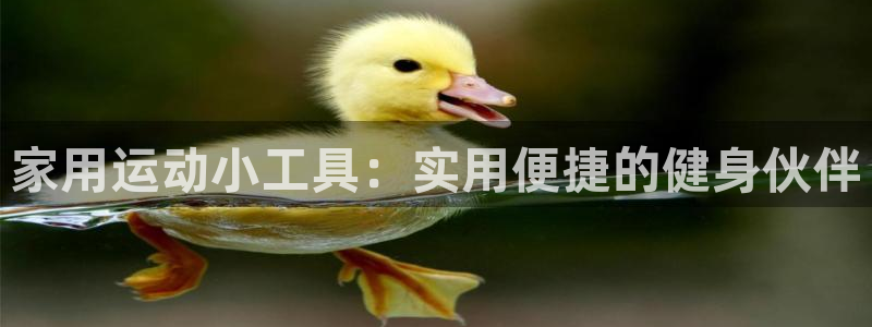 征途国际平台APP:家用运动小工具:实用便捷的健身伙伴