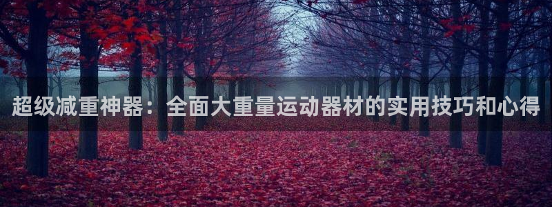 征途国际代理:超级减重神器:全面大重量运动器材的实用技巧和心