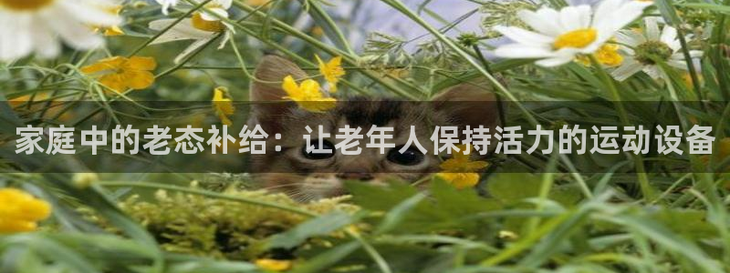 征途国际平台注册要钱吗是真的吗:家庭中的老态补给:让老年人保