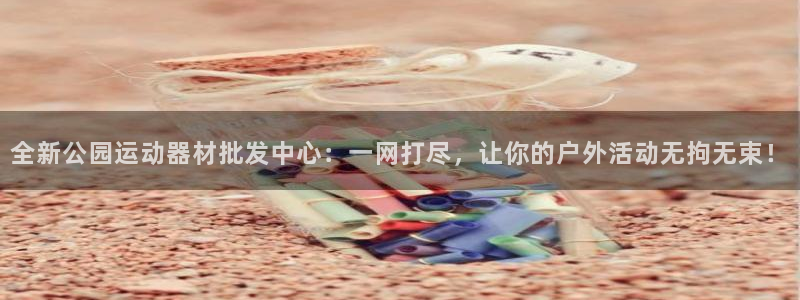 征途国际集团E.ON:全新公园运动器材批发中心:一网打尽,让